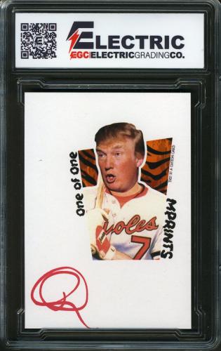 2024 MPRINTS Tiger Holo 1/1 Donald Trump - Back