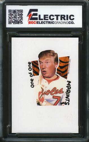 2024 MPRINTS Tiger 1/1 Donald Trump - Back