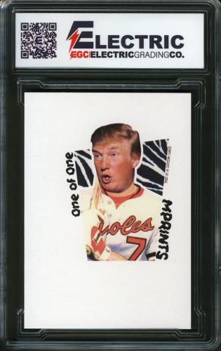2024 MPRINTS Zebra 1/1 Donald Trump - Back