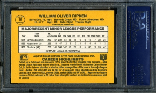 1987 Donruss Rookies #16 Bill Ripken XRC PSA 10 #18958195 - Back