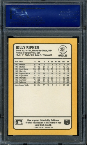 1988 Donruss Baseball's Best #254 Billy Ripken PSA 10 #15452867 - Back