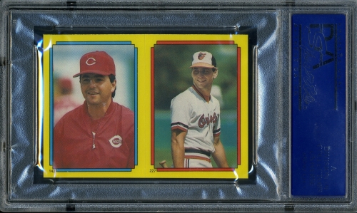 1988 O-Pee-Chee Stickers #227 Billy Ripken (142) PSA 10 #14193968 - Back
