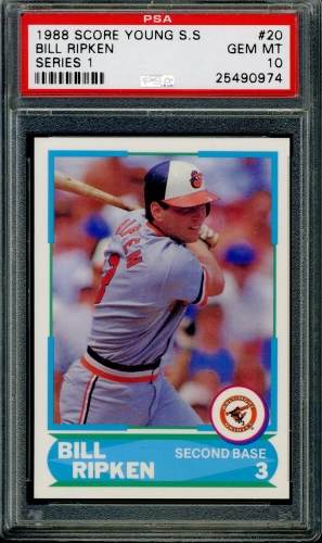 1988 Score Young Superstars I #20 Bill Ripken PSA 10 #25490974