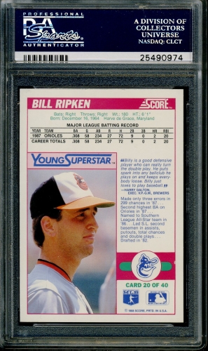 1988 Score Young Superstars I #20 Bill Ripken PSA 10 #25490974 - Back