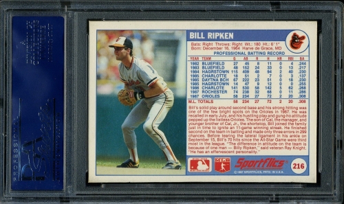 1988 Sportflics #216 Bill Ripken PSA 10 #19981829 - Back