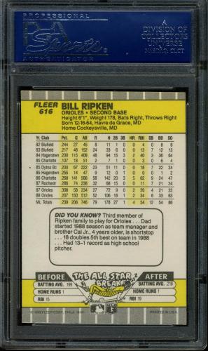 1989 Fleer #616B Bill Ripken Whiteout [Smooth White Line] PSA 10 #16551046 - Back