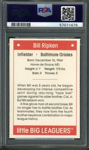 1990 Little Big Leaguers Bill Ripken PSA 9 #57071479 - Back