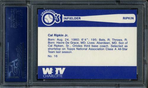 1980 Charlotte O's WBTV #16 Cal Ripken Jr. UER-misspelled Ripkin on back PSA 7 #19288780 - Back