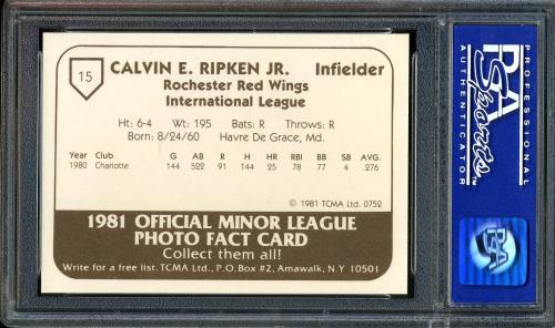 1981 TCMA Rochester Red Wings TCMA #15 Cal Ripken Jr. PSA 10 #05074485 - Back