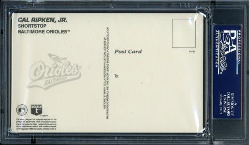 1993 Barry Colla Postcards Ripken Jr. Cal Ripken Jr.-(Batting) PSA 10 #22137134 - Back