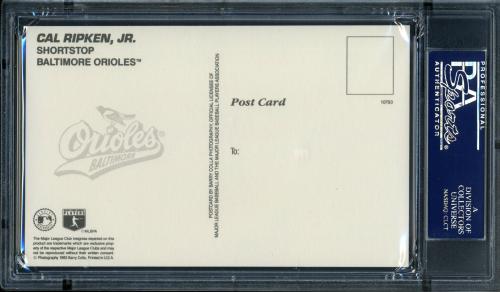 1993 Barry Colla Postcards Ripken Jr. Cal Ripken Jr.-(Portrait White Jersey) PSA 10 #22137137 - Back