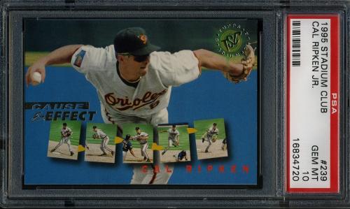 1995 Stadium Club #239 Cal Ripken CE PSA 10 #16834720