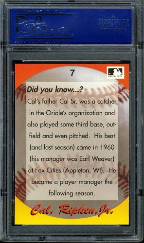 1995 Star Ripken 080 #007 Cal Ripken-Did you know...? PSA 10 #15003925 - Back