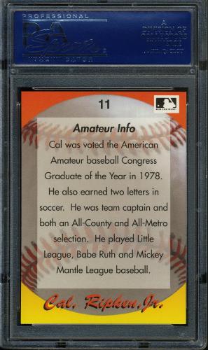 1995 Star Ripken 080 #011 Cal Ripken-Amateur Info PSA 10 #17250951 - Back