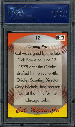 1995 Star Ripken 080 #012 Cal Ripken-Turning Pro PSA 10 #17250952 - Back