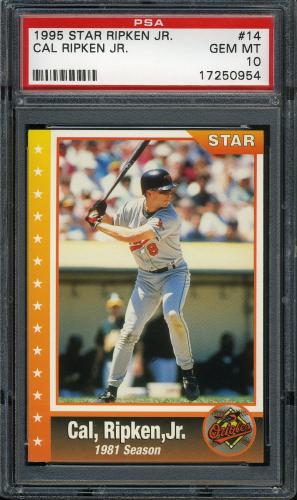 1995 Star Ripken 080 #014 Cal Ripken-1981 Season PSA 10 #17250954