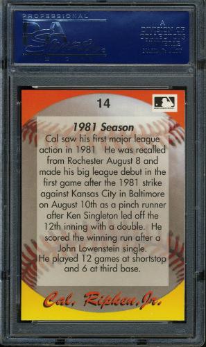 1995 Star Ripken 080 #014 Cal Ripken-1981 Season PSA 10 #17250954 - Back