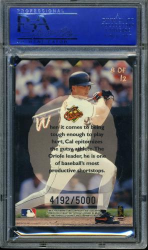 1997 Leaf Knot-Hole Gang #8 Cal Ripken PSA 10 #30980225 - Back